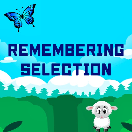 gameplay Remembering Selection